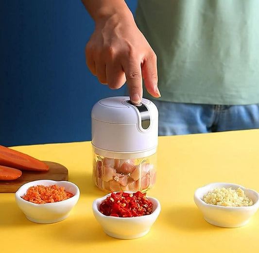 Mini Electric Meat & Garlic Chopper