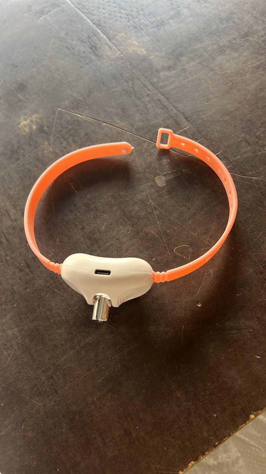 ChaseBeam Pet Collar Laser