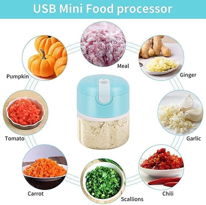 Mini Electric Meat & Garlic Chopper