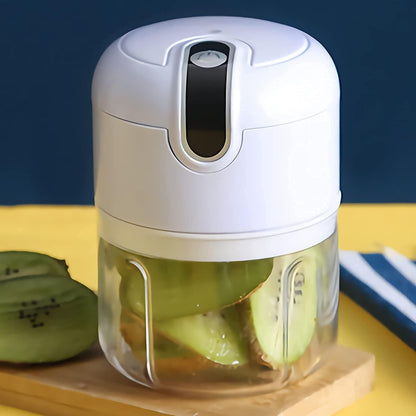 Mini Electric Meat & Garlic Chopper